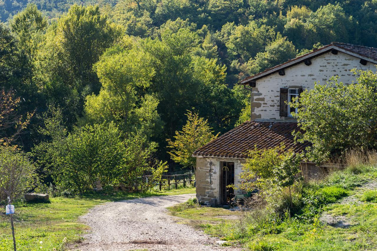 Hotel Agriturismo L'Oca Blu Gubbio Exteriér fotografie